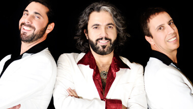 The three members of Bee Gees Gold.